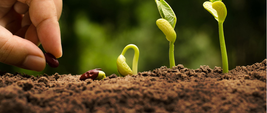 How can biostimulants sustainably maintain agriculture productivity