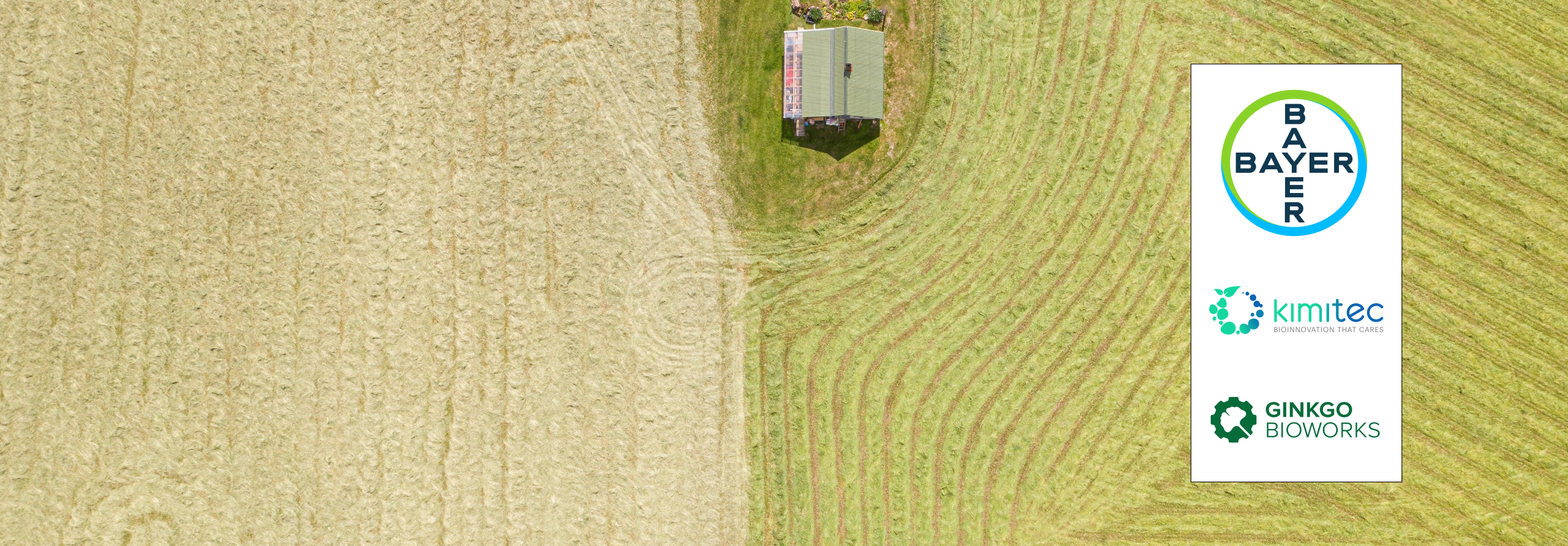 Bayer, Kimitec, and Ginkgo Bioworks Partner for Agricultural Innovation