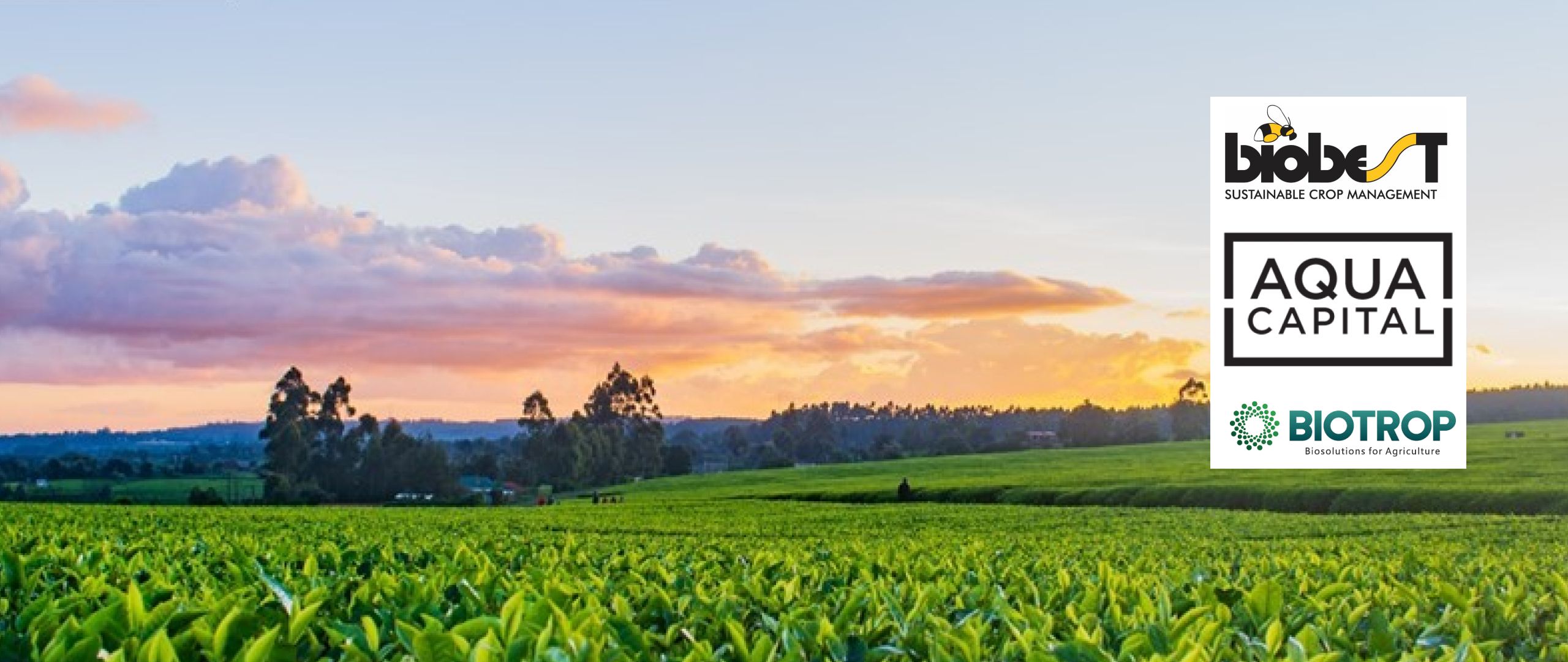Biobest finalizes a deal with Aqua Capital and GIC, successfully completing the acquisition of Biotrop in Brazil
