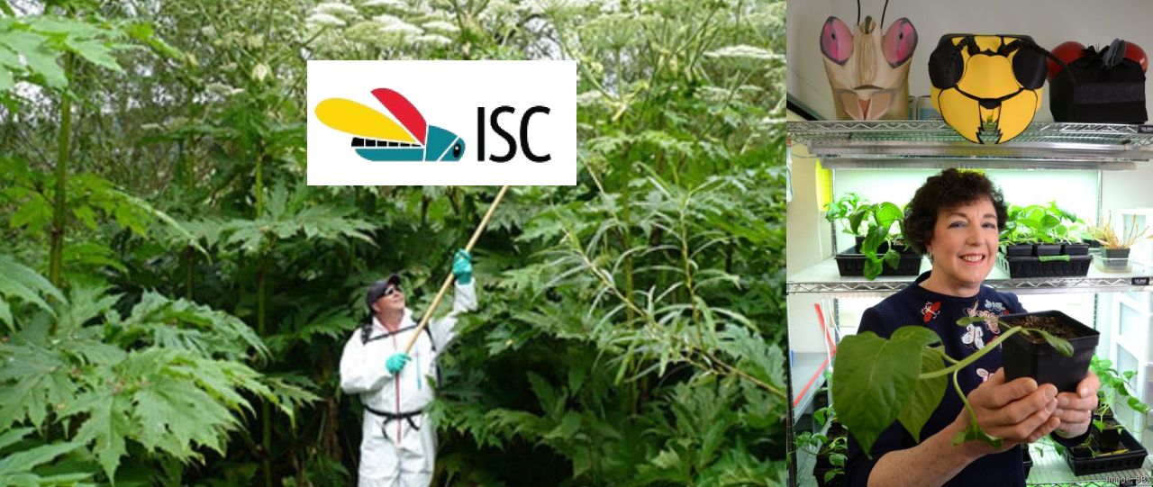 Invasive Species Corp., led by Marrone, secures $2.5 million in pre-seed funding from Silverstrand Capital in Singapore