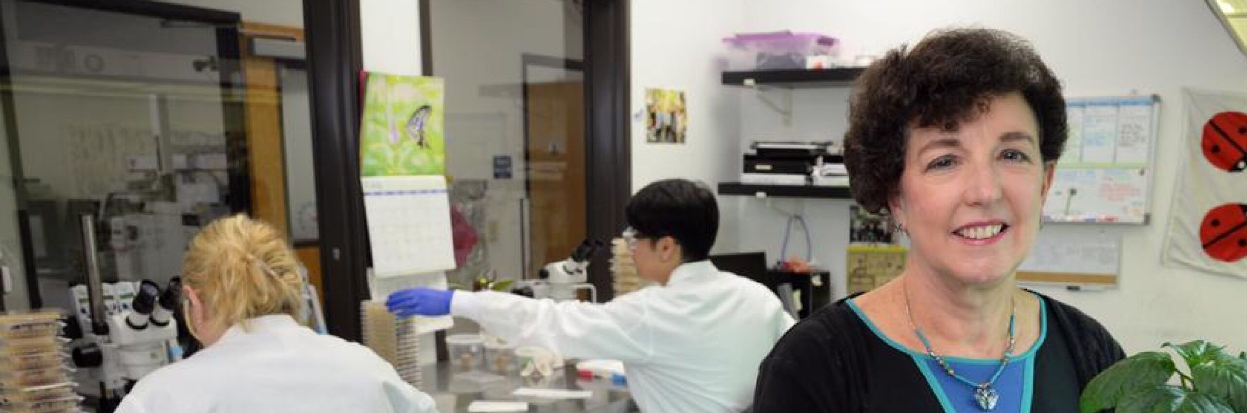 Pam’s Reflection : Biologicals are a Powerful Tool to Reduce Carbon Footprint