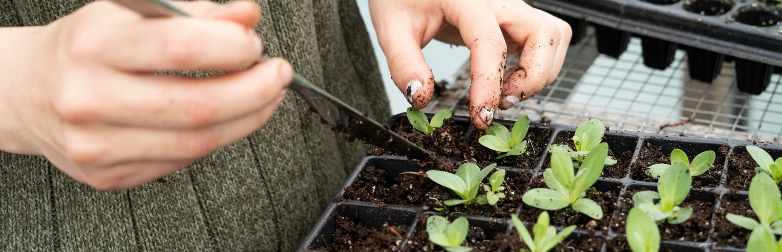 Seeds of Change: A Glimpse into Bio-Ag Innovation in 2024