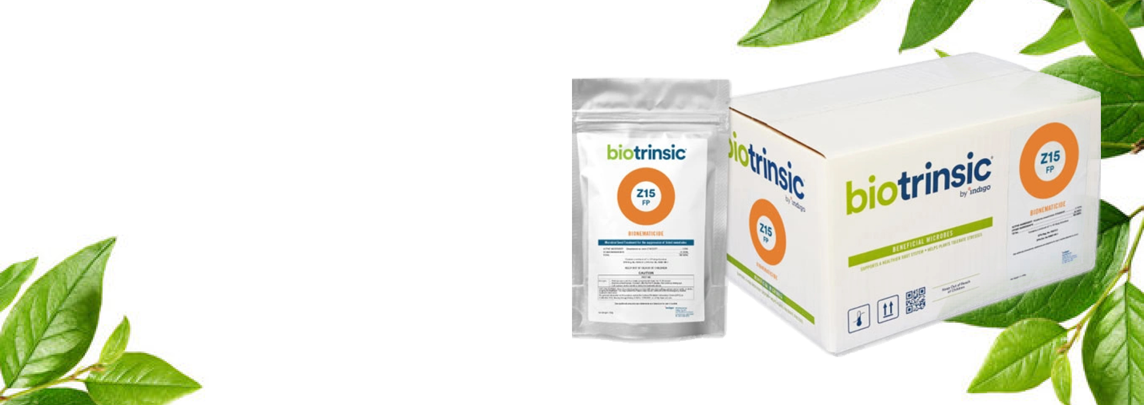 Focus Innovation: Indigo Ag  First Streptomyces Plant Endophytic Microbe Demonstrated to Defend Against Plant-Parasitic Nematodes, Combined With Improvement In Soybean And Corn Crop Performance