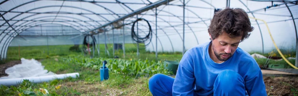 Sustainable Agriculture Through the Indian Cooperative Movement