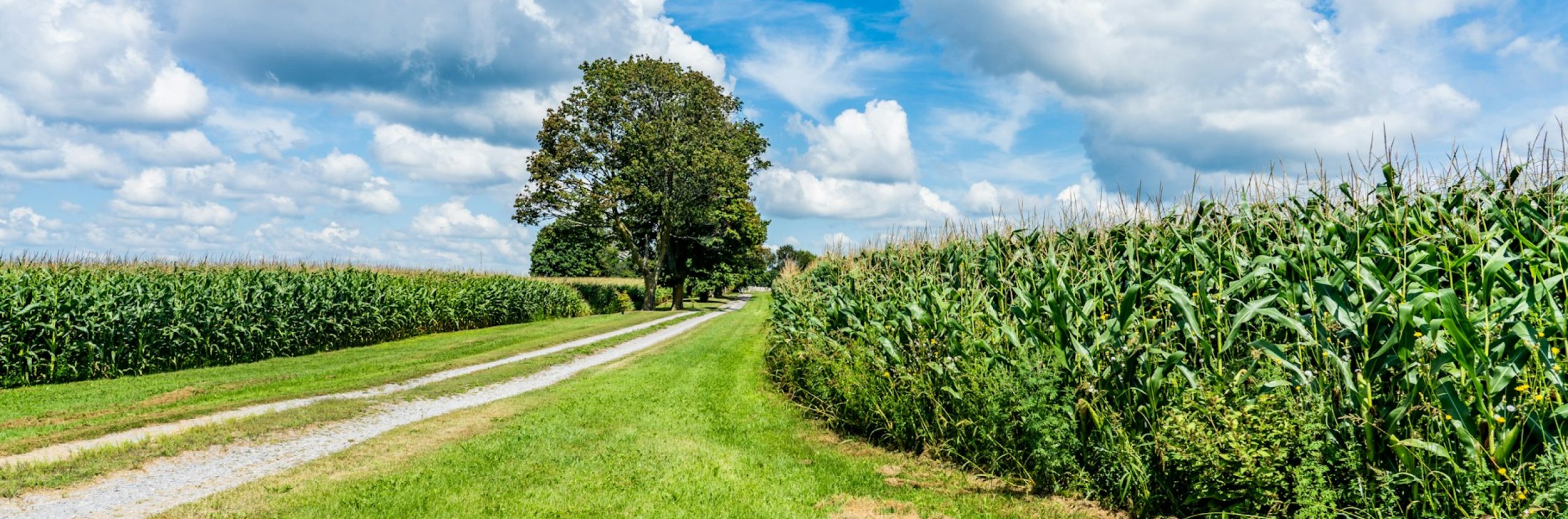 BioNexus: Cataloging Nature’s Code for Resilient Agriculture