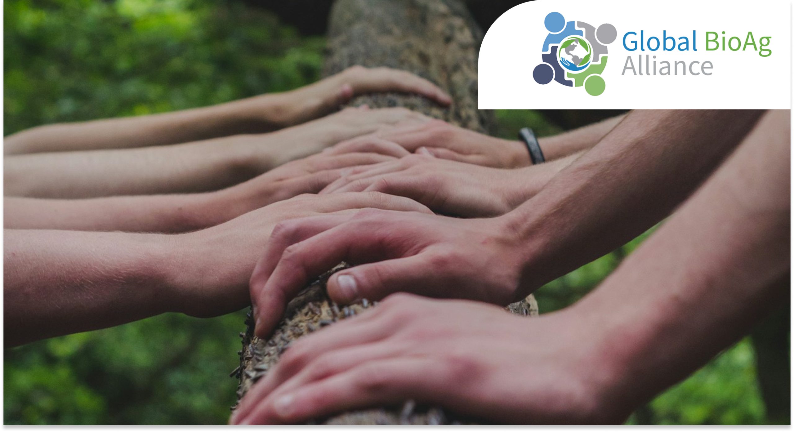 Global BioAg Alliance (GBA):   A Unified Global Effort to Shape the Future of BioAg