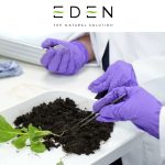 Eden Research plc (AIM: EDEN), a leader in sustainable biopesticide and biocontrol technology, provides the following unaudited trading update.