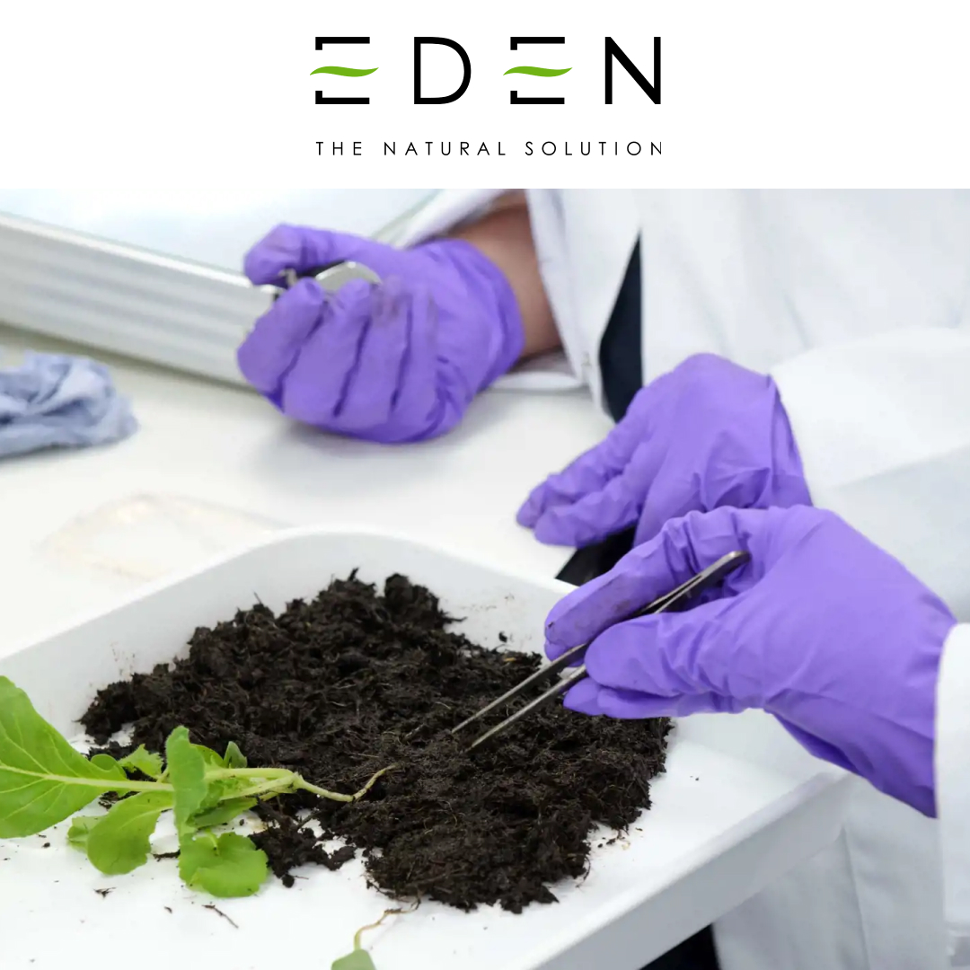 Eden Research plc (AIM: EDEN), a leader in sustainable biopesticide and biocontrol technology, provides the following unaudited trading update.