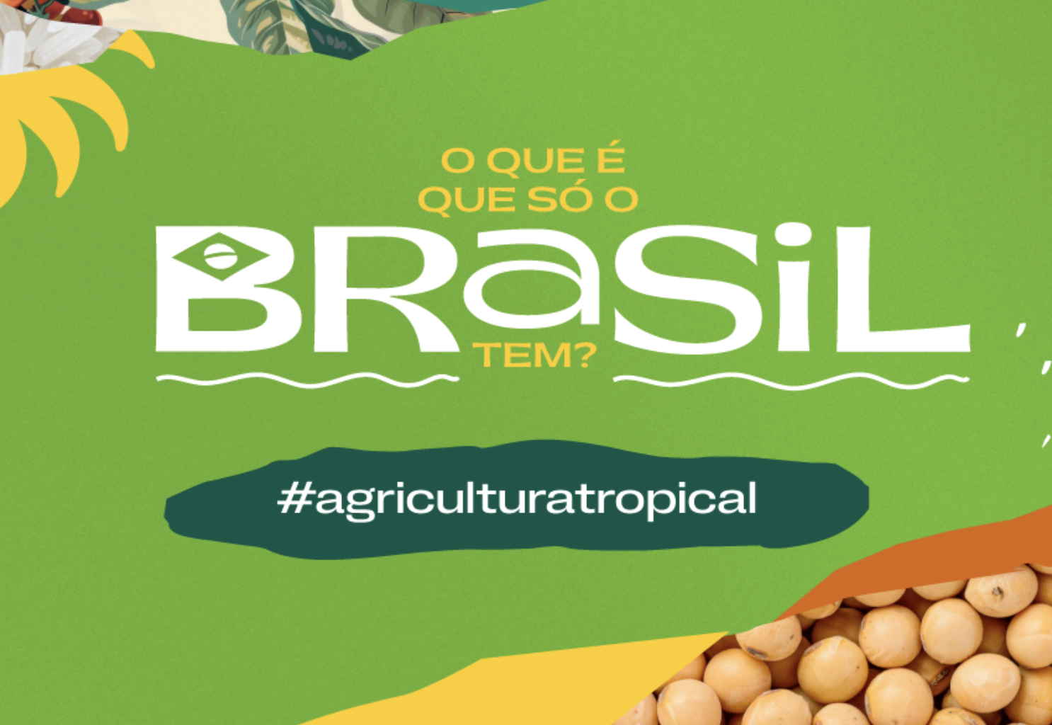 Research: 24% of farmers are unaware of the concept of Tropical Agriculture