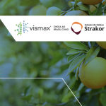Elemental Enzymes in partnership with UPL announced the launch of Strakor®, a breakthrough peptide-based solution designed to combat citrus greening (HLB).