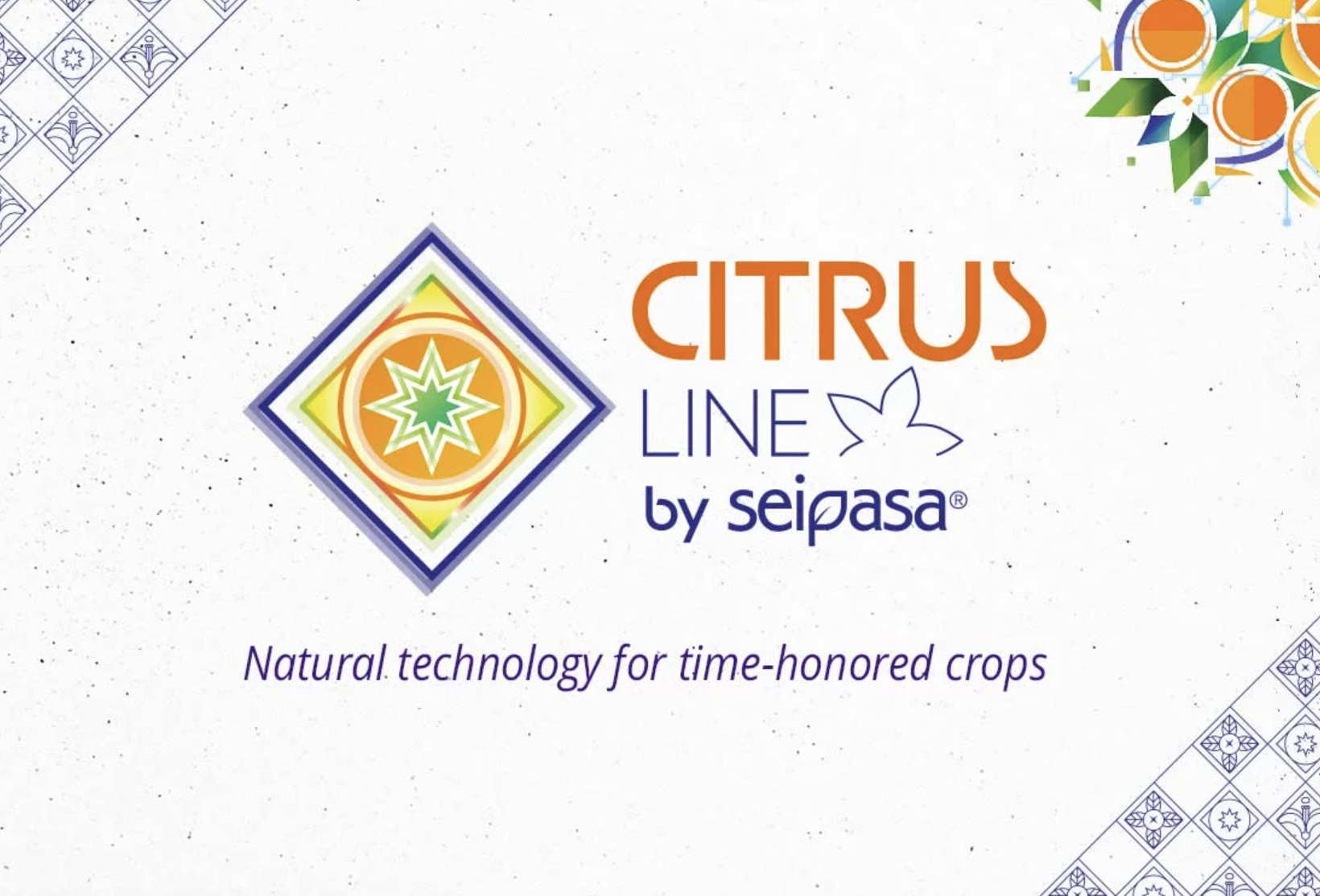 Seipasa presents its new Citrus Line: a comprehensive biotechnological strategy for chemical residue-free crops, optimizing fruit sizing and commercial bioprotection.
