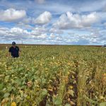 Micropep Advances Global Commercialization of Peptide Biofungicide with U.S. and EU Regulatory Filings