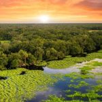 USDA Invests $3 Million for Wetland Mitigation Banking Projects to Support Producers and Protect Wetland Ecosystems