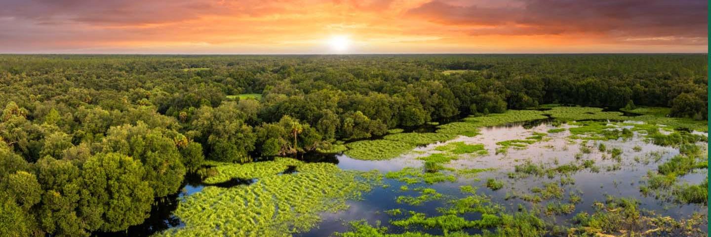 USDA Invests $3 Million for Wetland Mitigation Banking Projects to Support Producers and Protect Wetland Ecosystems