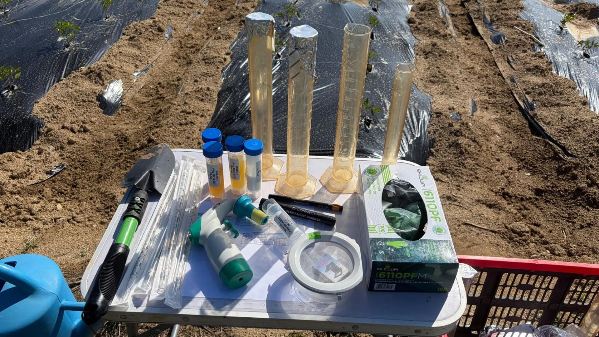 New pests, new responses: Futureco Bioscience joins HARMONY to develop new crop protection solutions