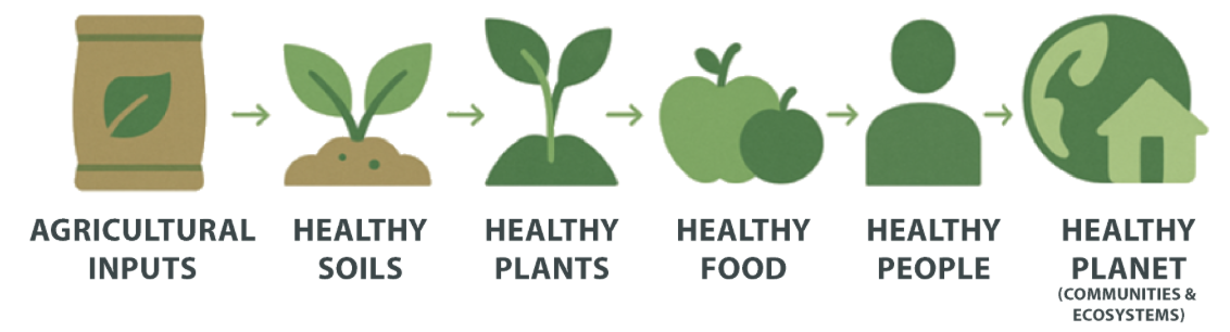 Agricultural Inputs Health Chain