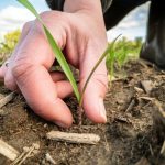 NRCS Soil Health Partnership Roundtable: October 27th Raleigh, NC
