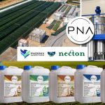 Phoenix Biosolutions and the Necton Group create PNA, an exclusive join venture to lead the development of microalgae applications in agriculture