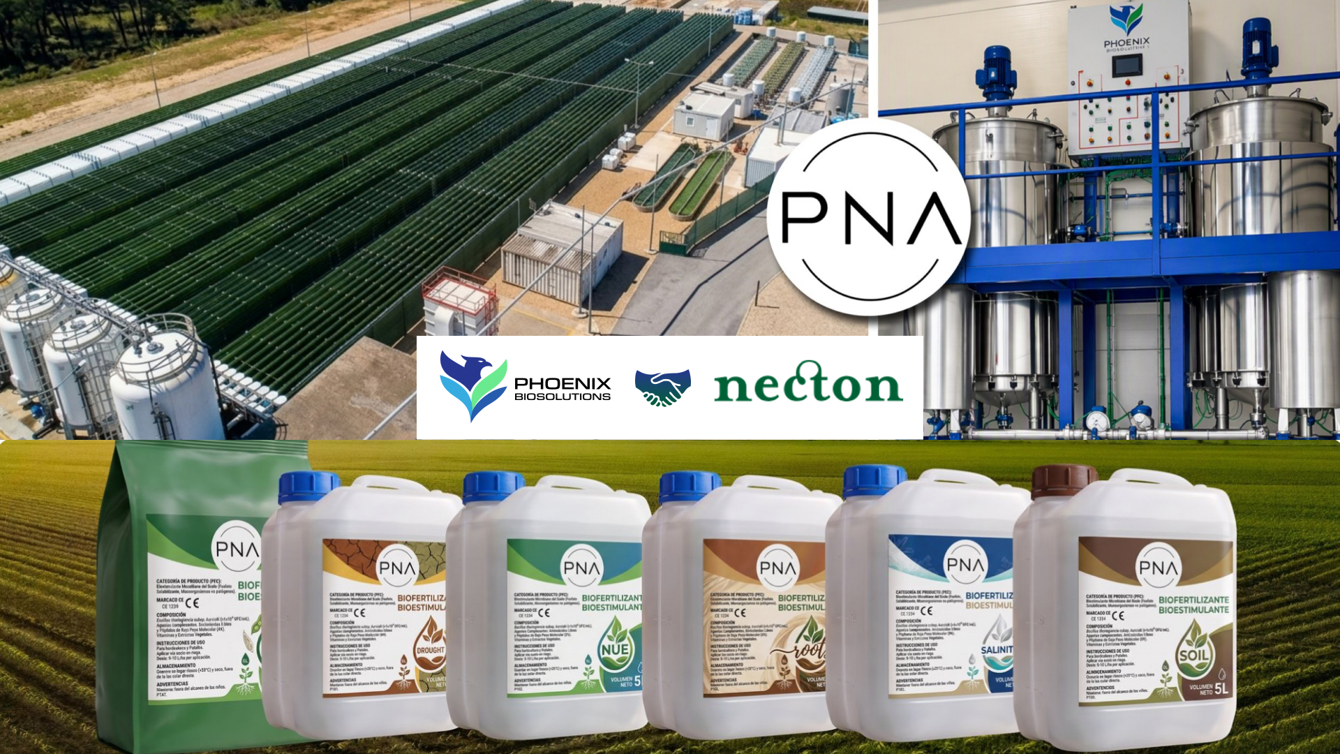 Phoenix Biosolutions and the Necton Group create PNA, an exclusive join venture to lead the development of microalgae applications in agriculture