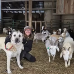 Can Regenerative Farming Actually Make Money? Thryv Launches New Utah Model to Prove It
