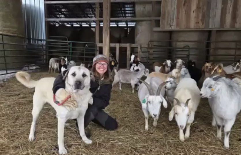 Can Regenerative Farming Actually Make Money? Thryv Launches New Utah Model to Prove It